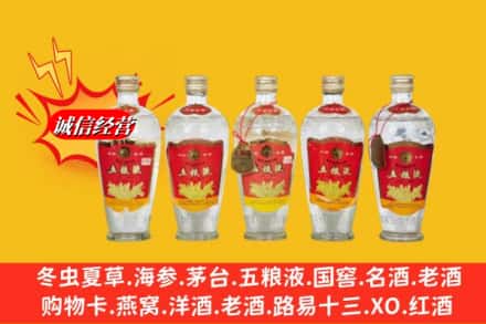 丰顺县名酒回收老五粮液.jpg
