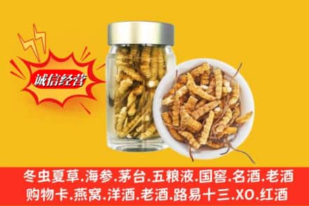 丰顺县回收散虫草
