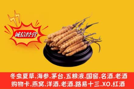 丰顺县名酒回收冬虫夏草.jpg
